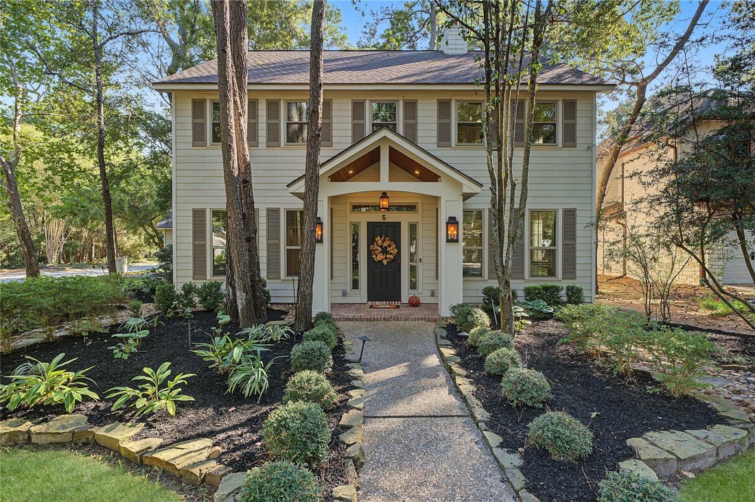 House in The Woodlands, Texas, United States 1 - 19179720
