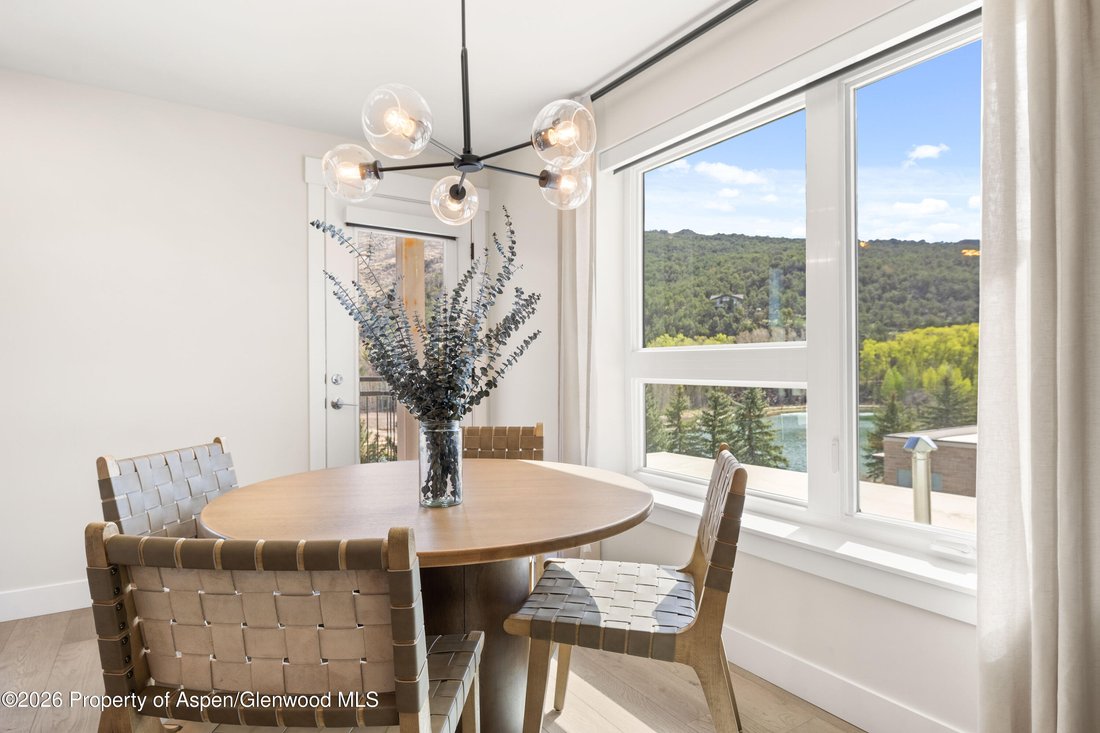 Condo in El Jebel, Colorado, United States 5 - 19179900