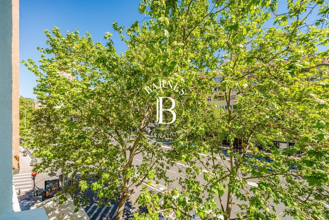 Apartment in Barrio Salamanca, Madrid, Spain 5 - 17721237