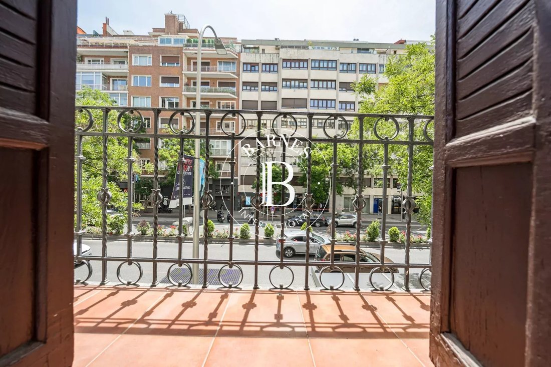 Apartment in Barrio Salamanca, Madrid, Spain 1 - 18006531