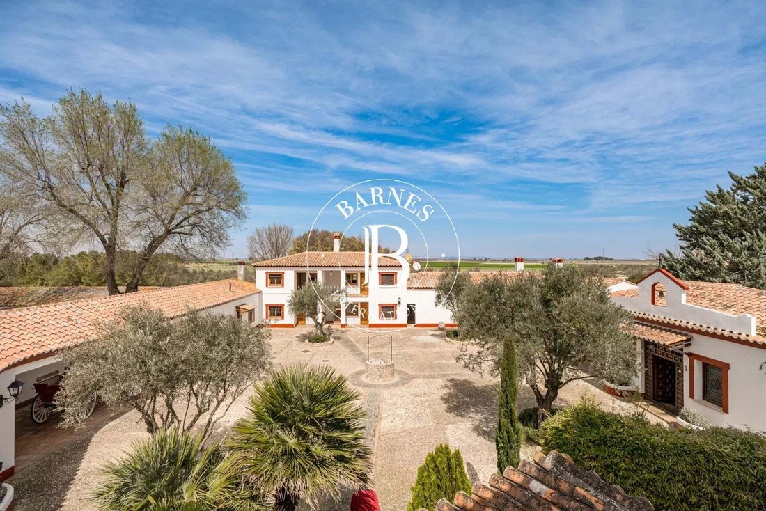 House in Alcazar de San Juan, Castile-La Mancha, Spain 4 - 17602552