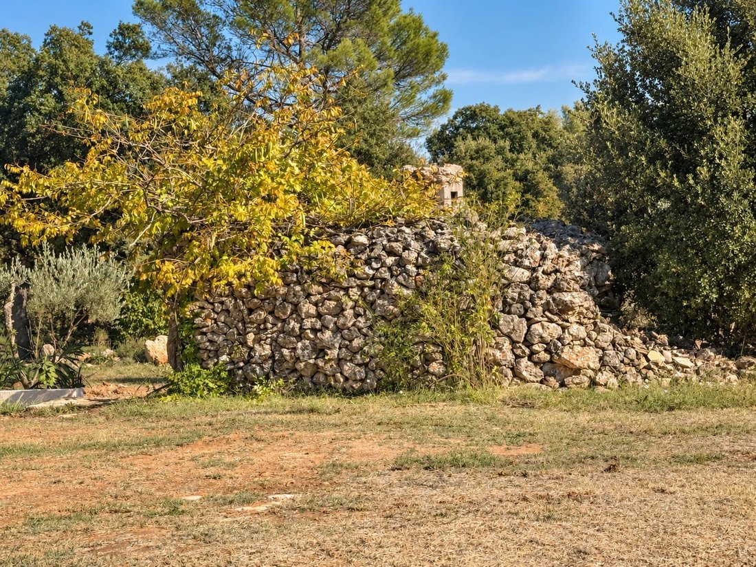 Anwesen in Cotignac, Provence-Alpes-Côte d'Azur, Frankreich 5 - 18282555