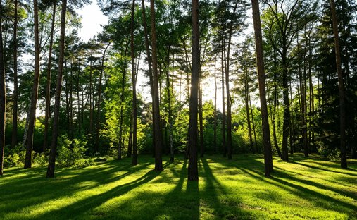 Terreno en Konstancin-Jeziorna, Voivodato de Mazovia, Polonia 1