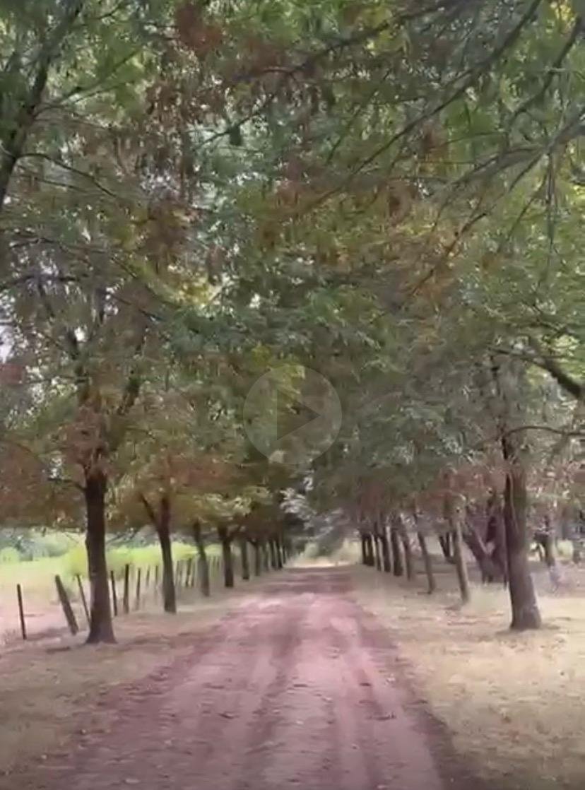 Terreno en La Lonja, Provincia de Buenos Aires, Argentina 2 - 19182964