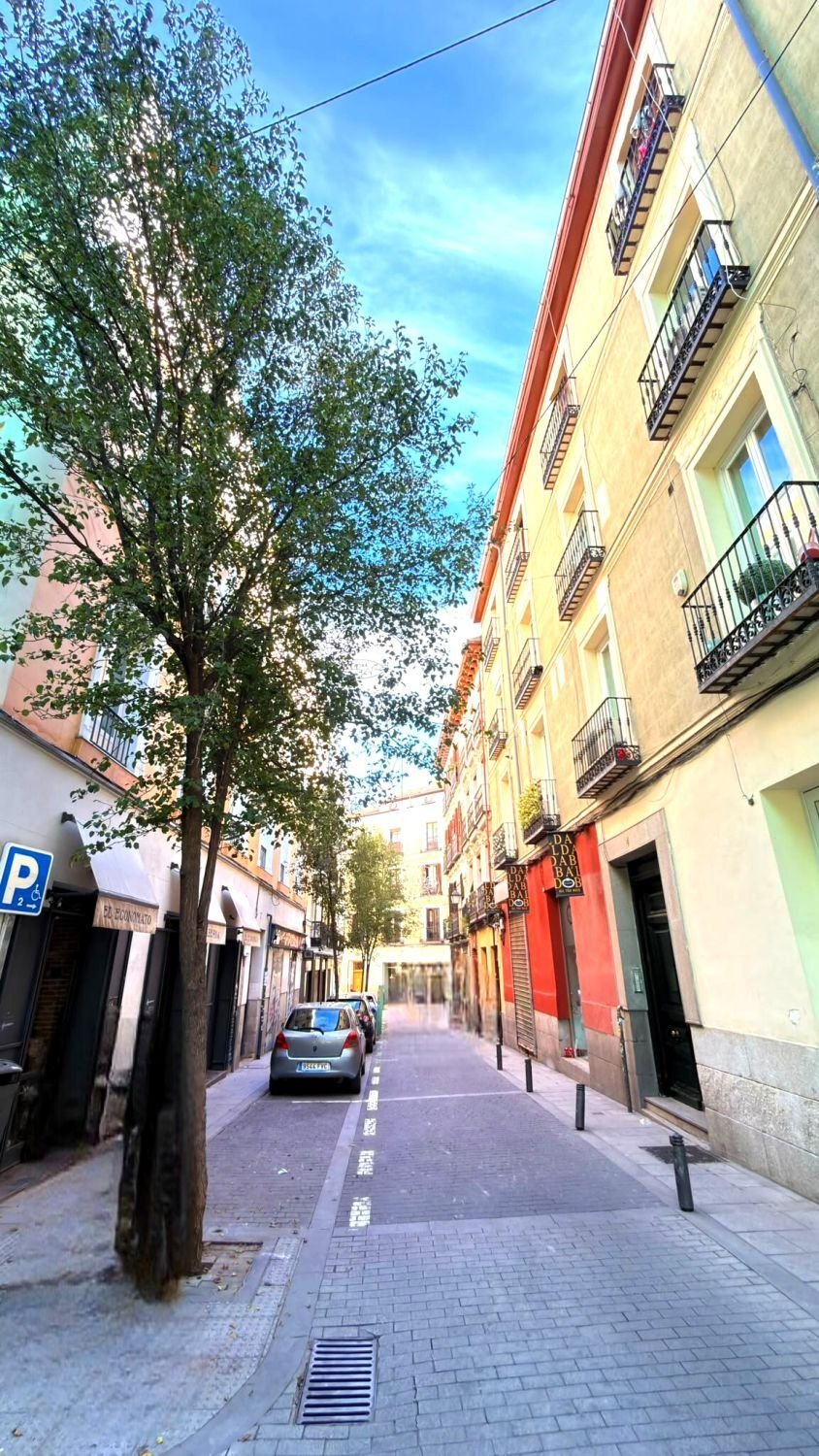 Andere in Centro, Madrid, Spanien 5 - 19182897