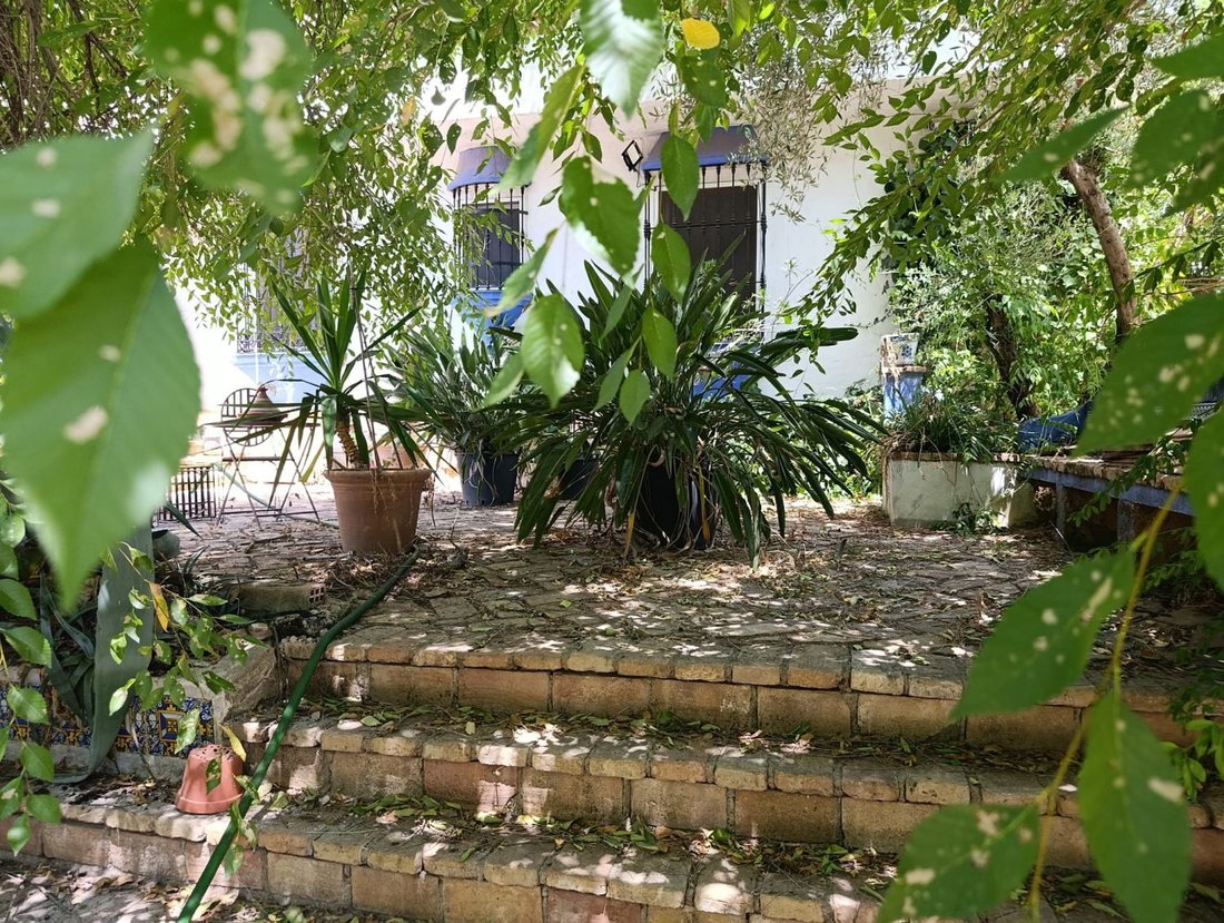Chalet en Andújar, Andalucía, España 3 - 19182892