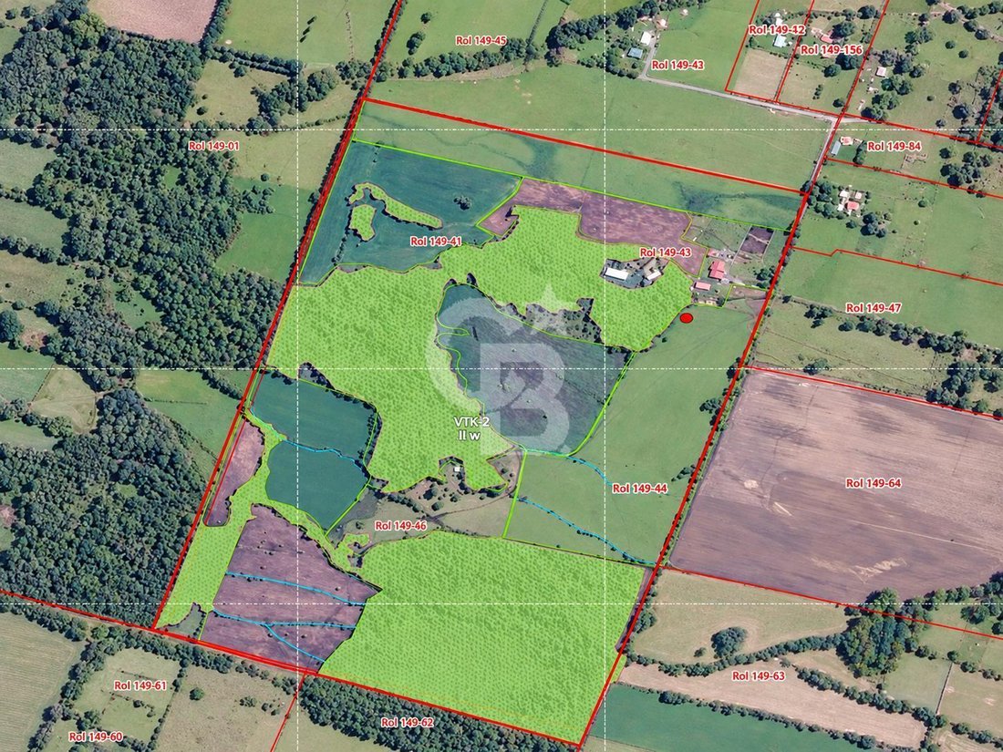 Terreno a Villarrica, Araucanía, Cile 5 - 19183025