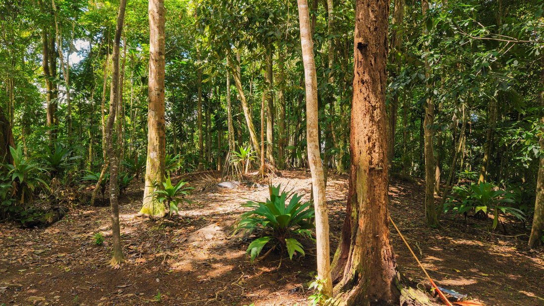 Terrain en Uvita, Puntarenas, Costa Rica 4 - 19137442