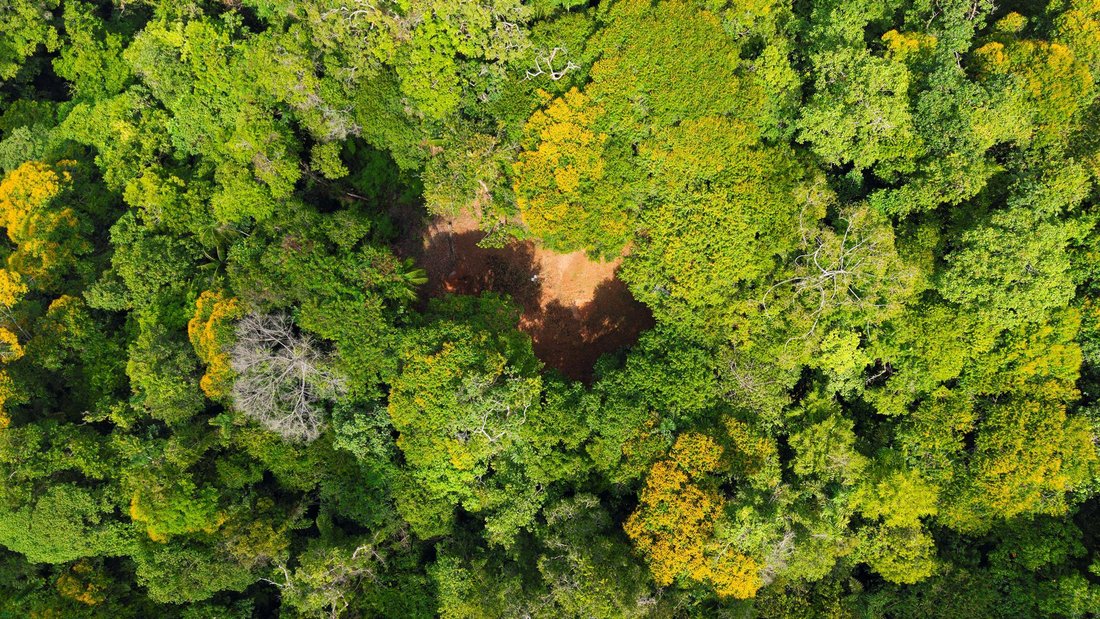 Terrain en Uvita, Puntarenas, Costa Rica 2 - 19137442