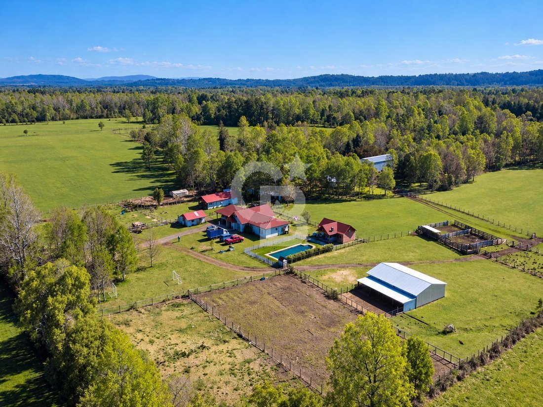 Terreno a Villarrica, Araucanía, Cile 4 - 19183025