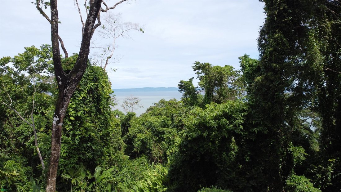 Land in Pavones, Puntarenas Province, Costa Rica 4 - 19182983