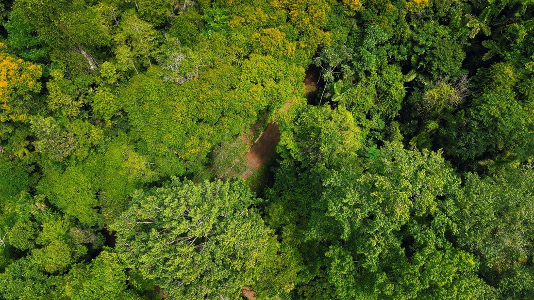 Terrain en Uvita, Puntarenas, Costa Rica 3 - 19137442