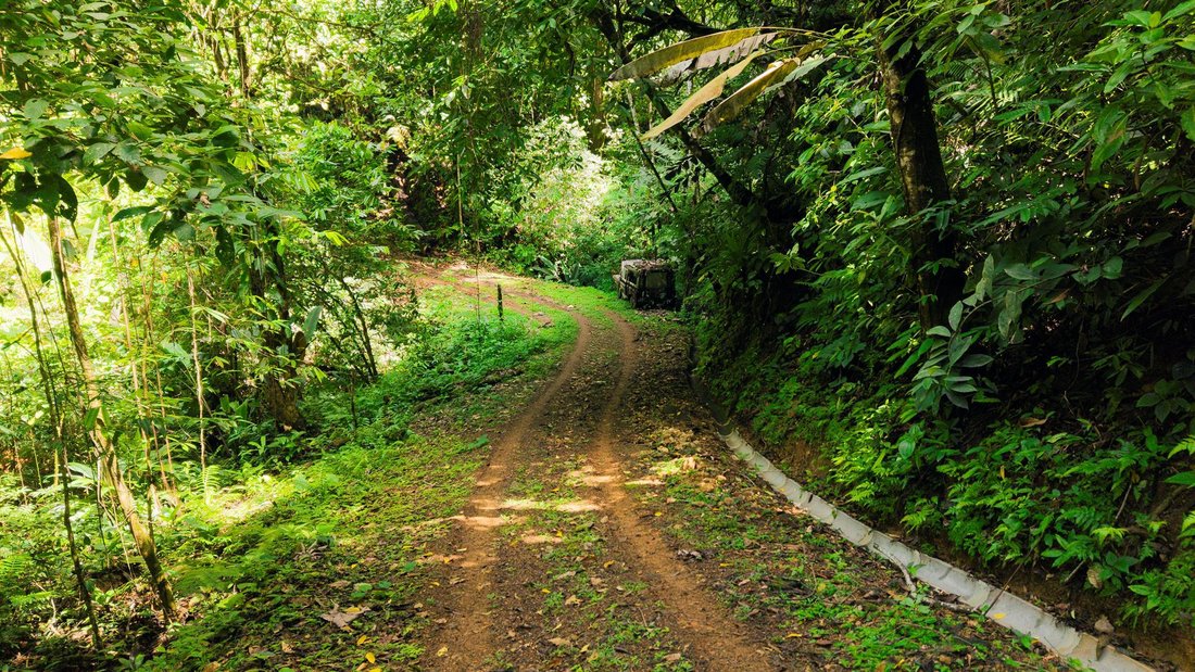 Terrain en Uvita, Puntarenas, Costa Rica 5 - 19137442