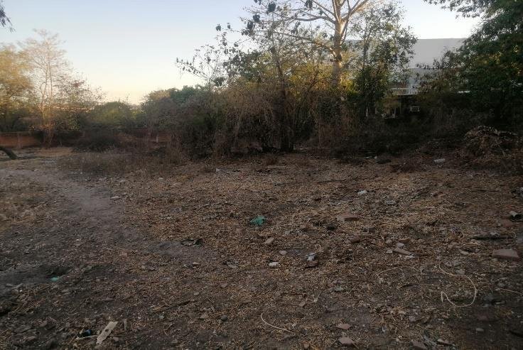 Terrain à Culiacán, Sinaloa, Mexique 2 - 19184105
