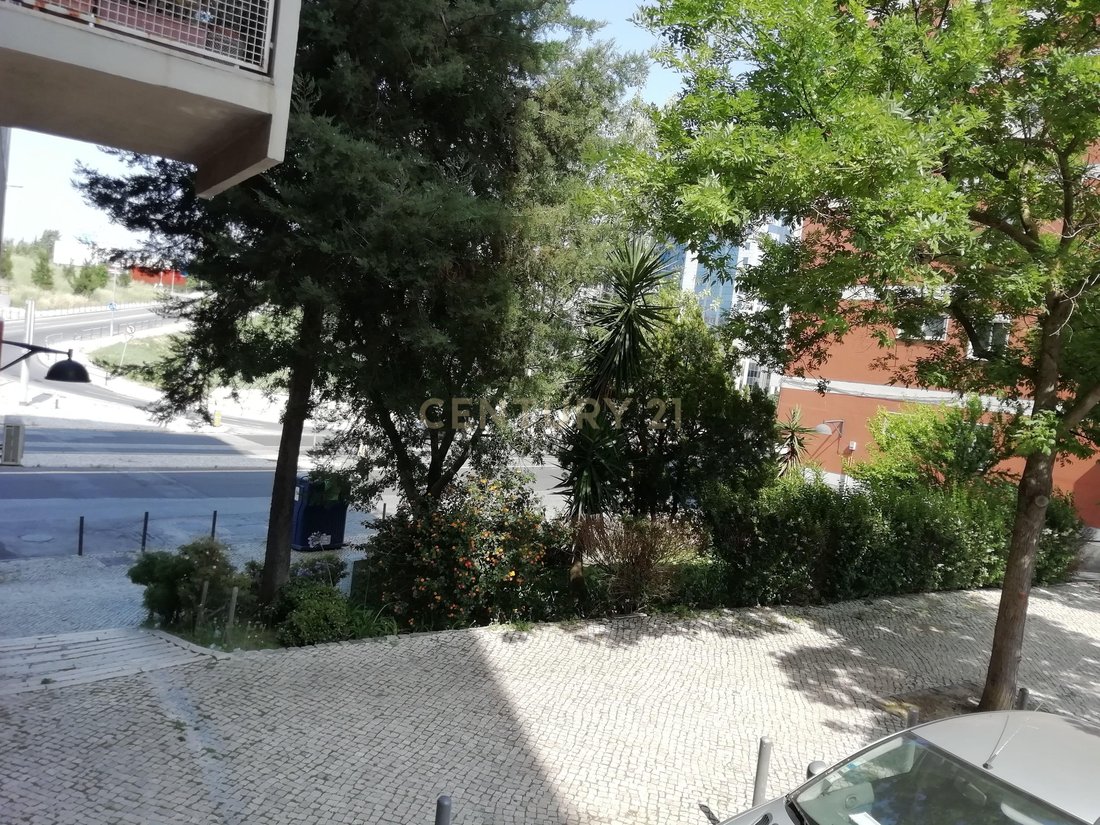 Apartment in Sao Domingos de Benfica, Lisbon, Portugal 2 - 19183676