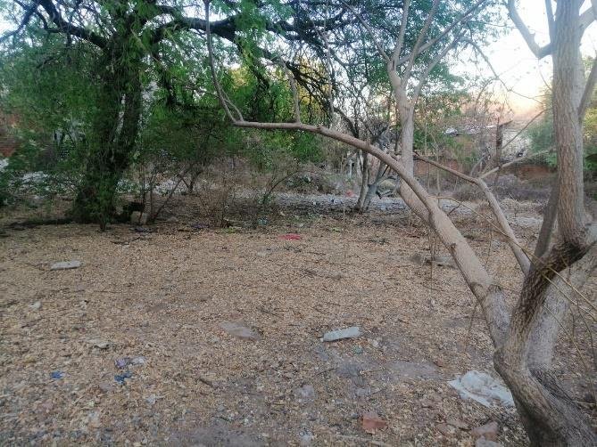 Terrain à Culiacán, Sinaloa, Mexique 4 - 19184105