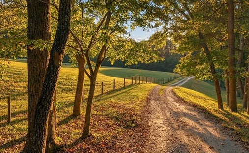 House in Murrayville, Georgia, United States 1