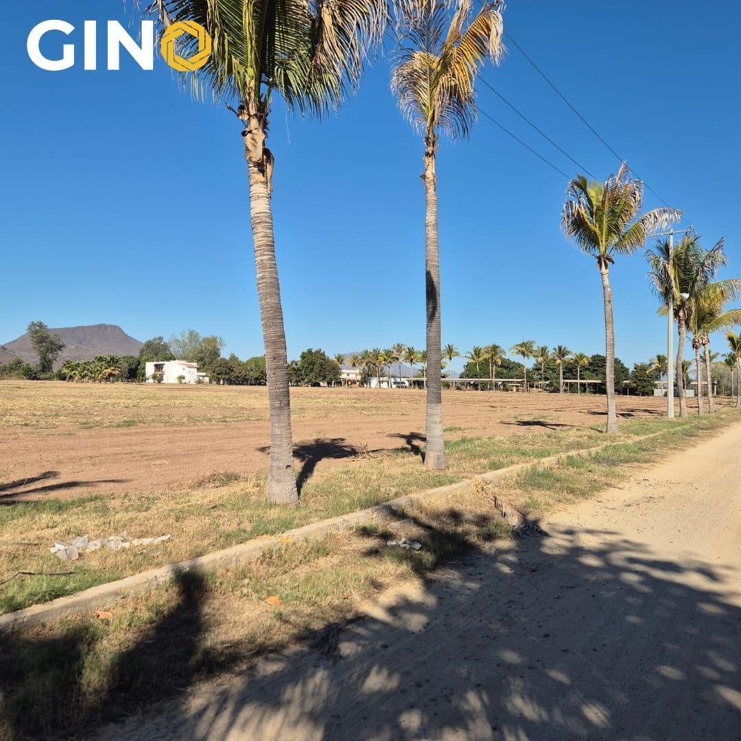 Land in Culiacán, Sinaloa, Mexico 3 - 19184074
