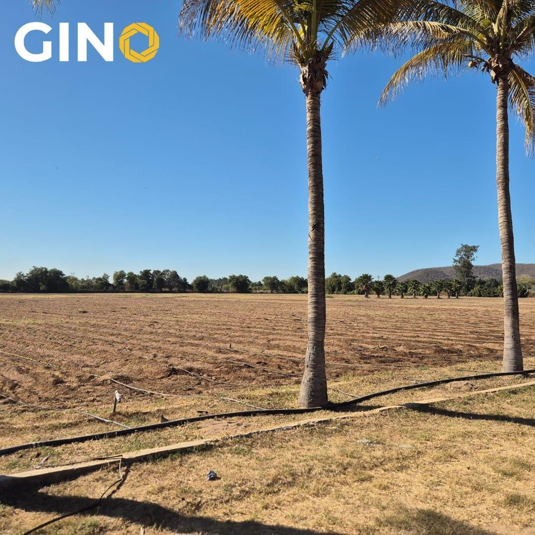 Land in Culiacán, Sinaloa, Mexico 2 - 19184074