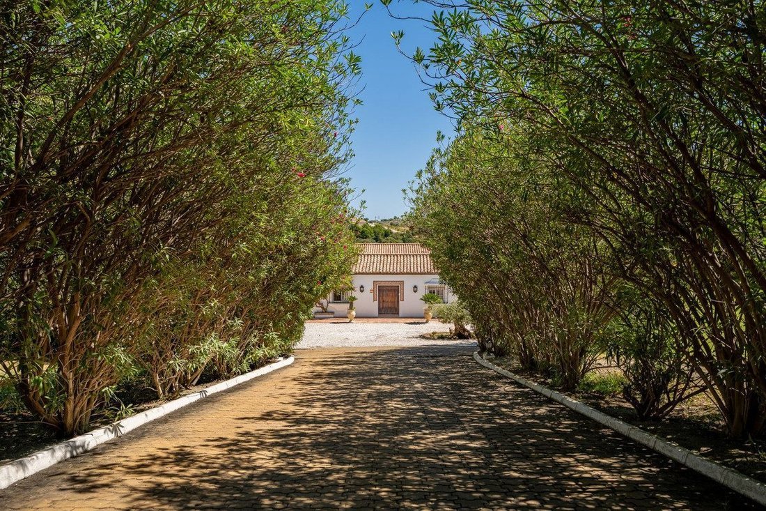 Maison à Cancelada, Estepona, Andalousie 3 - 19183744