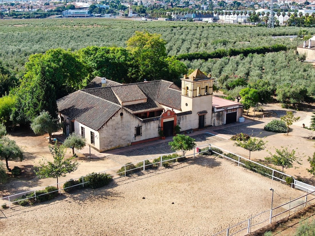 Maisons de campagne à Bollullos de la Mitación, Andalousie, Espagne 3 - 19183175