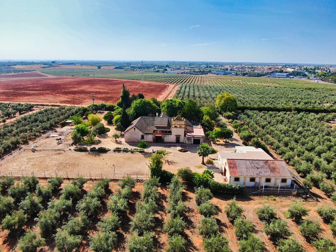 Maisons de campagne à Bollullos de la Mitación, Andalousie, Espagne 2 - 19183175