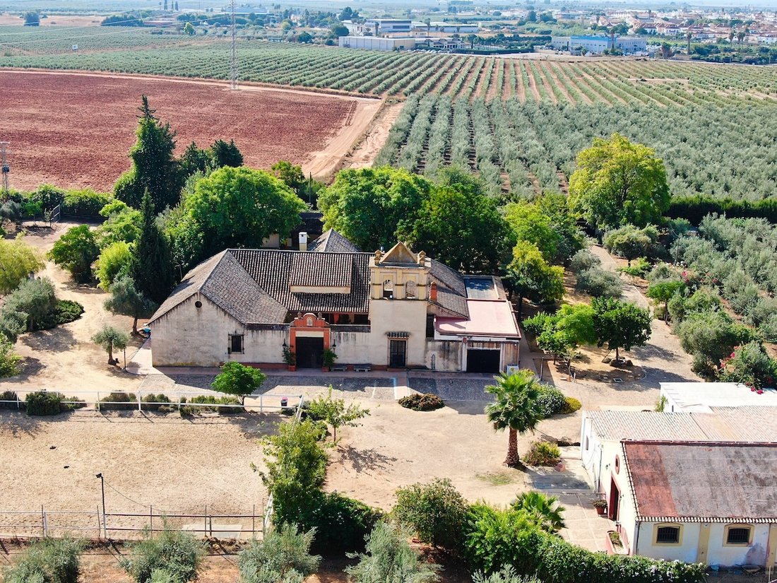 Maisons de campagne à Bollullos de la Mitación, Andalousie, Espagne 1 - 19183175