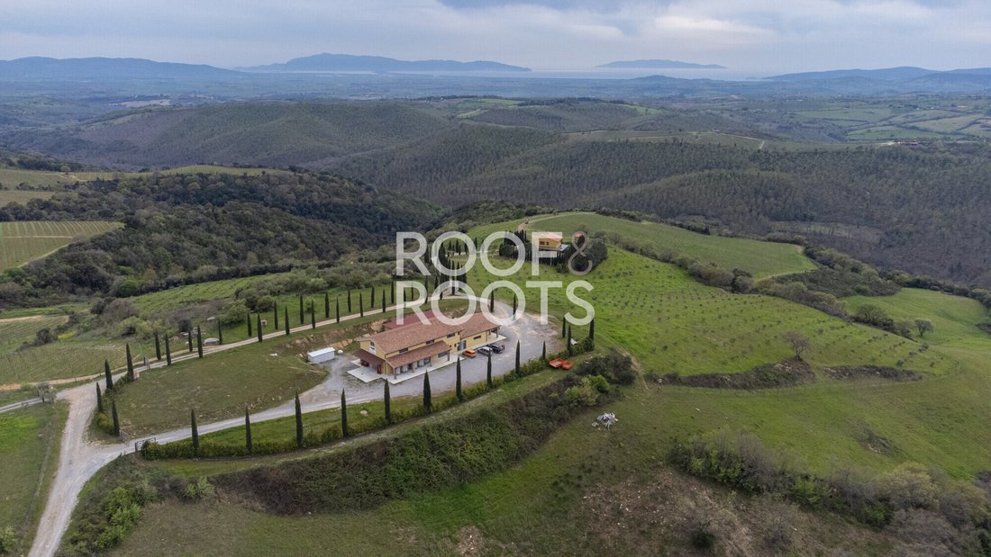 Farm Ranch in Magliano in Toscana, Toskana, Italien 3 - 19183118