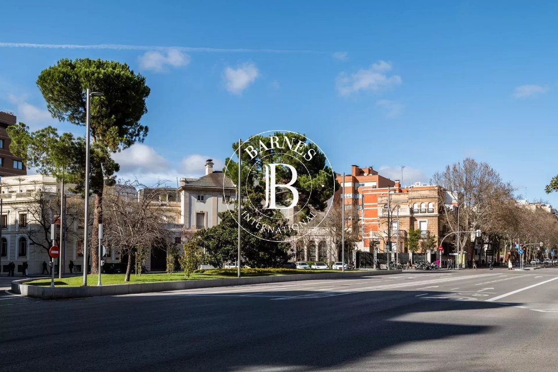 Apartment in Barrio Salamanca, Madrid, Spain 5 - 17267177