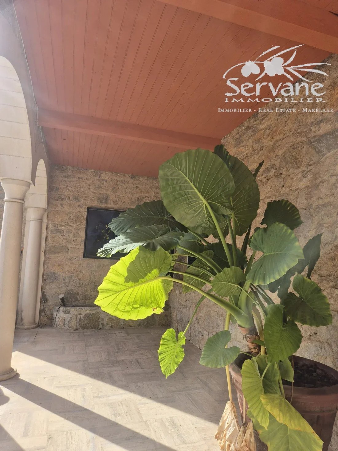 Villa in Seillans, Provence-Alpes-Côte d'Azur, Frankreich 5 - 19183176