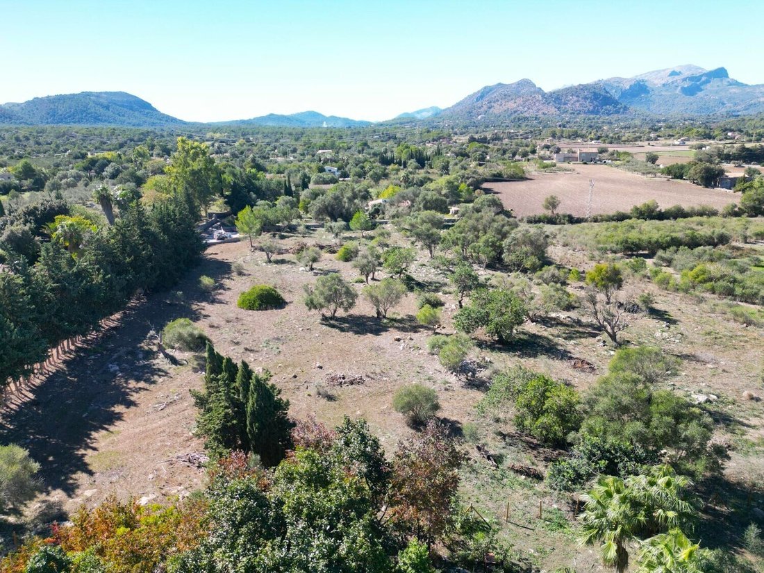 Terreno en Pollensa, Islas Baleares, España 5 - 19183444