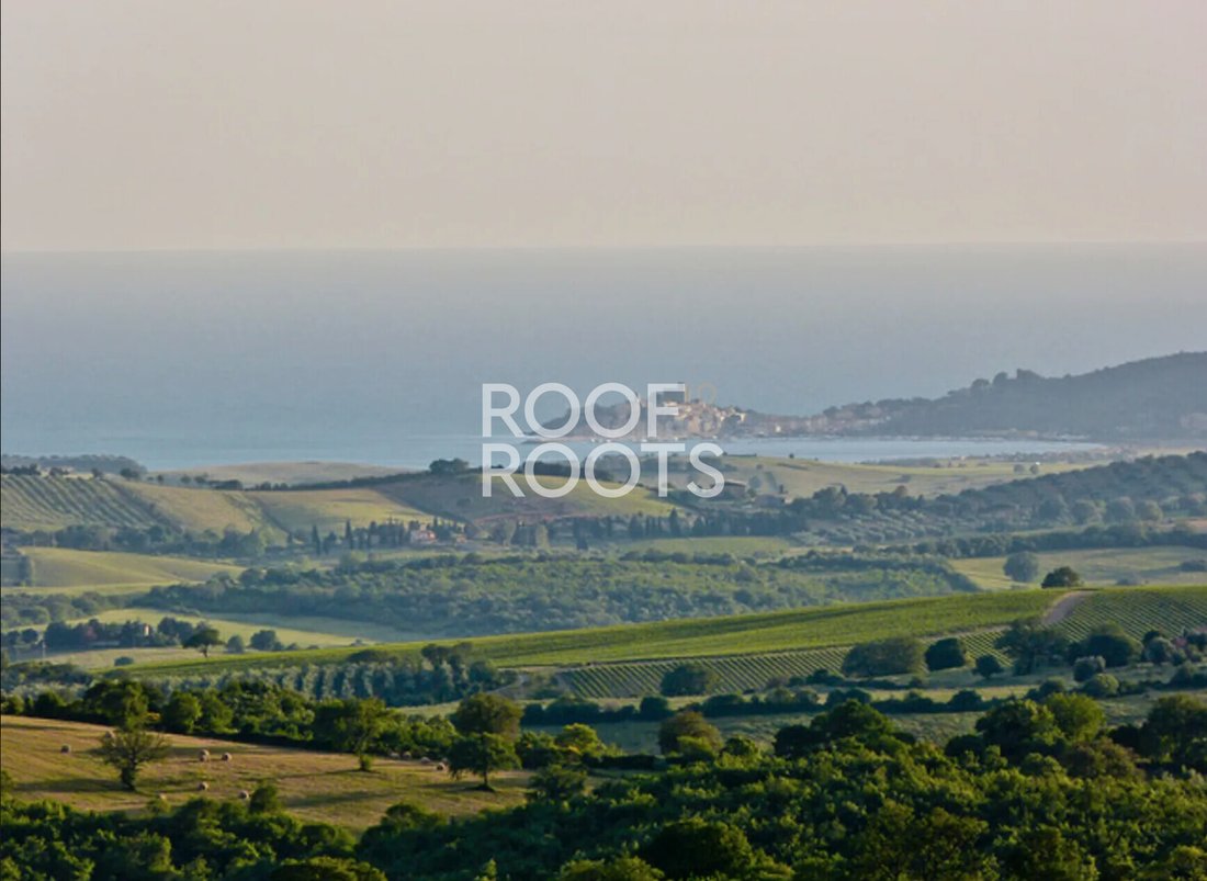 Farm Ranch in Magliano in Toscana, Toskana, Italien 4 - 19183118