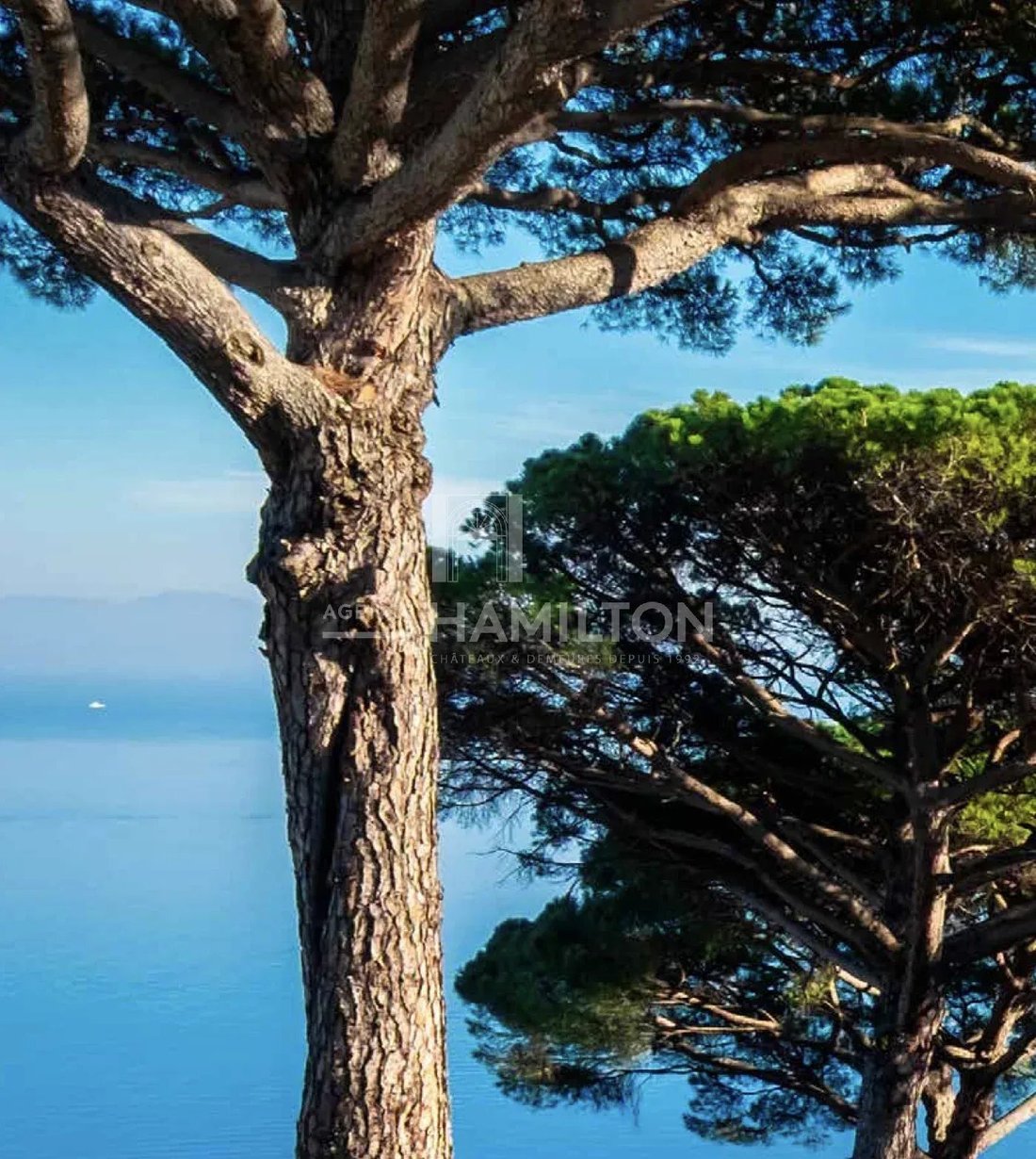 Villa a Antibes, Provenza-Alpi-Costa Azzurra, Francia 3 - 15179517