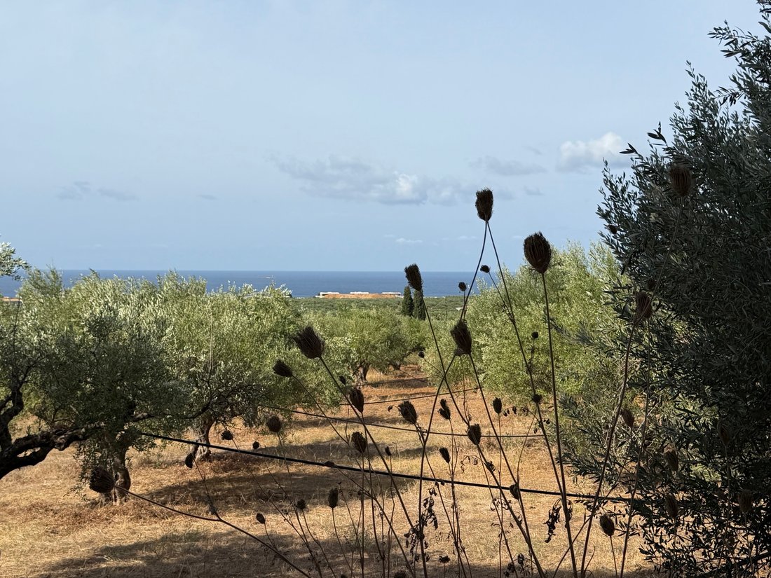 Land in Gargalianoi, Peloponnese, Western Greece and the Ionian, Greece 2 - 19183236