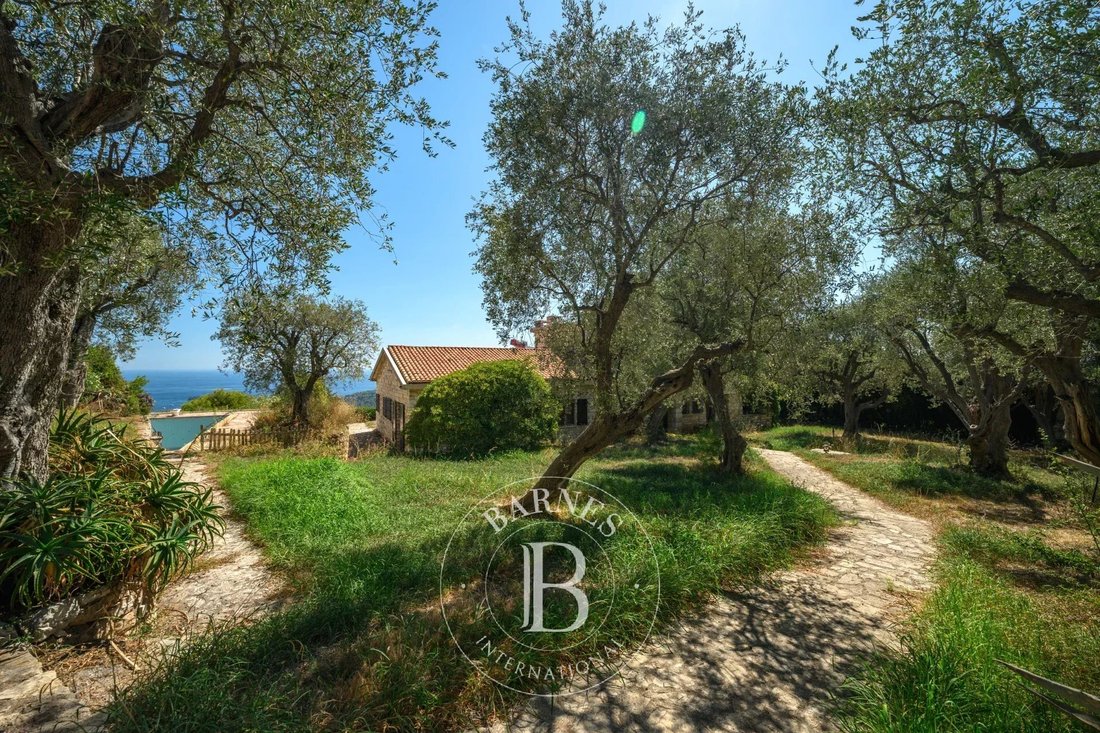 Villa a Nizza, Provenza-Alpi-Costa Azzurra, Francia 5 - 18917608