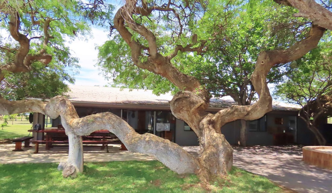 Corps de ferme à Thabazimbi Local Municipality, Limpopo, Afrique du Sud 3 - 19187077