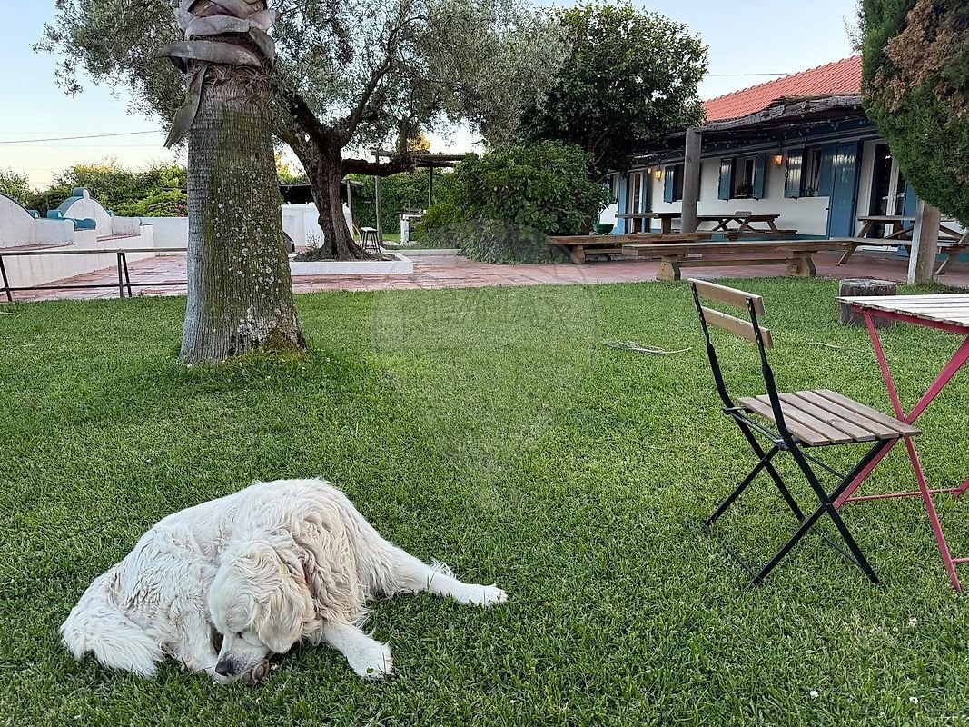 Rancho en Branca, Distrito de Santarém, Portugal 1 - 19188637