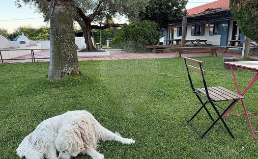 Corps de ferme à Branca, District de Santarém, Portugal 1