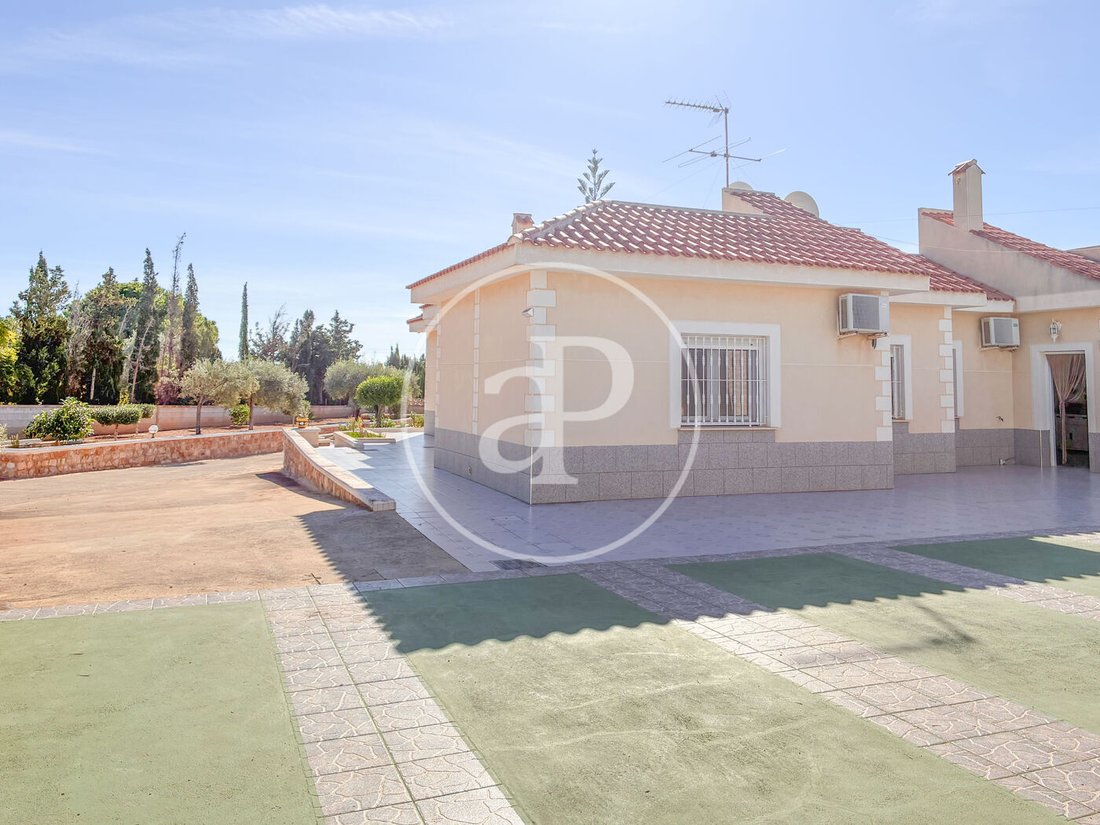 Villa in Elche, Land Valencia, Spanien 2 - 19188267
