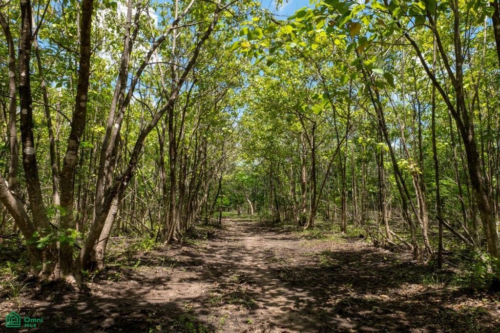 Terrain à Guardia, Guanacaste, Costa Rica 5 - 19089188