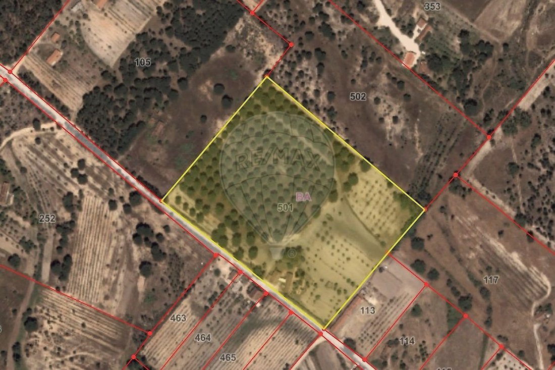 Rancho en Branca, Distrito de Santarém, Portugal 5 - 19188637