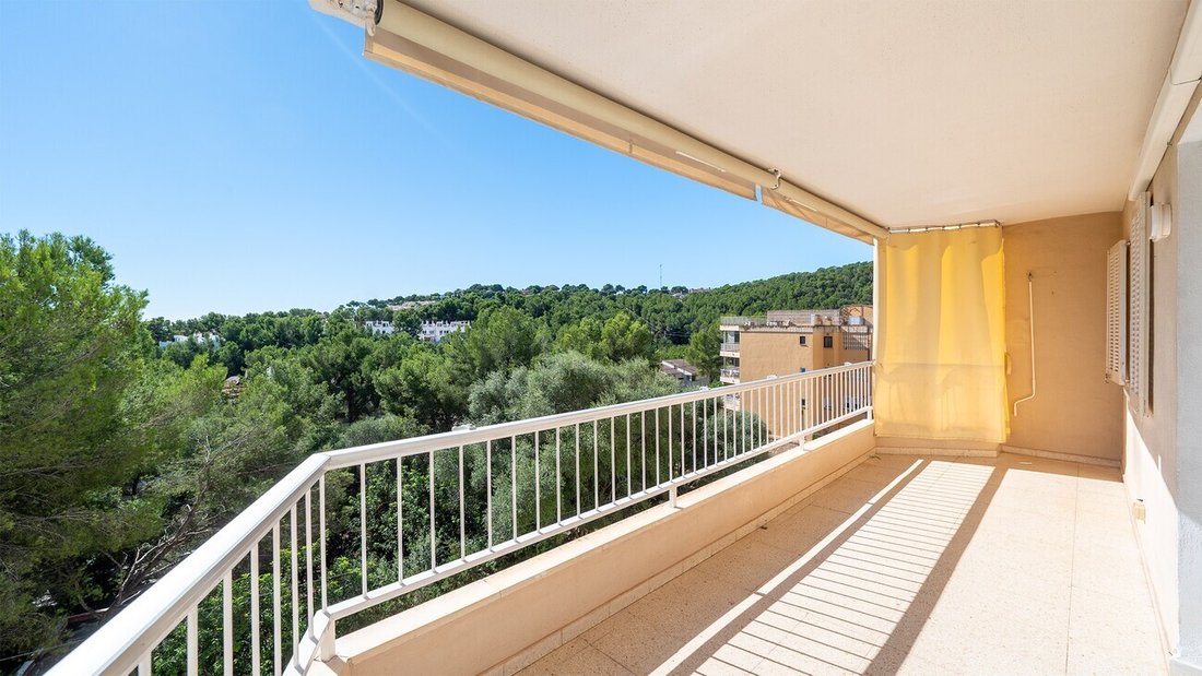 Apartment in Palma, Balearic Islands, Spain 1 - 19186086
