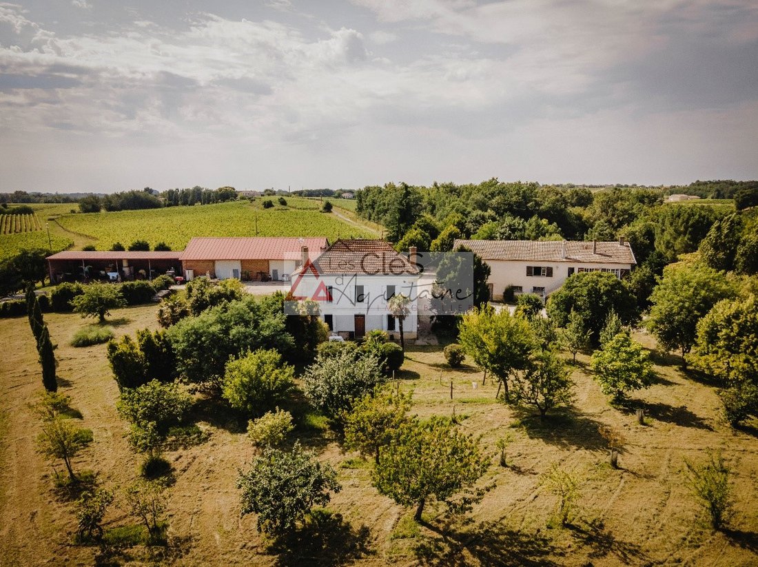 Castle in Cadillac-sur-Garonne, Nouvelle-Aquitaine, France 1 - 19186138