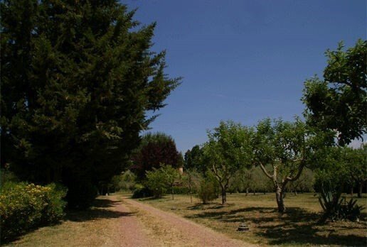 Altro a Terricciola, Toscana, Italia 1 - 19185878