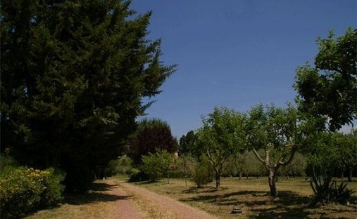 Terricciola, Toscana, Italia 1