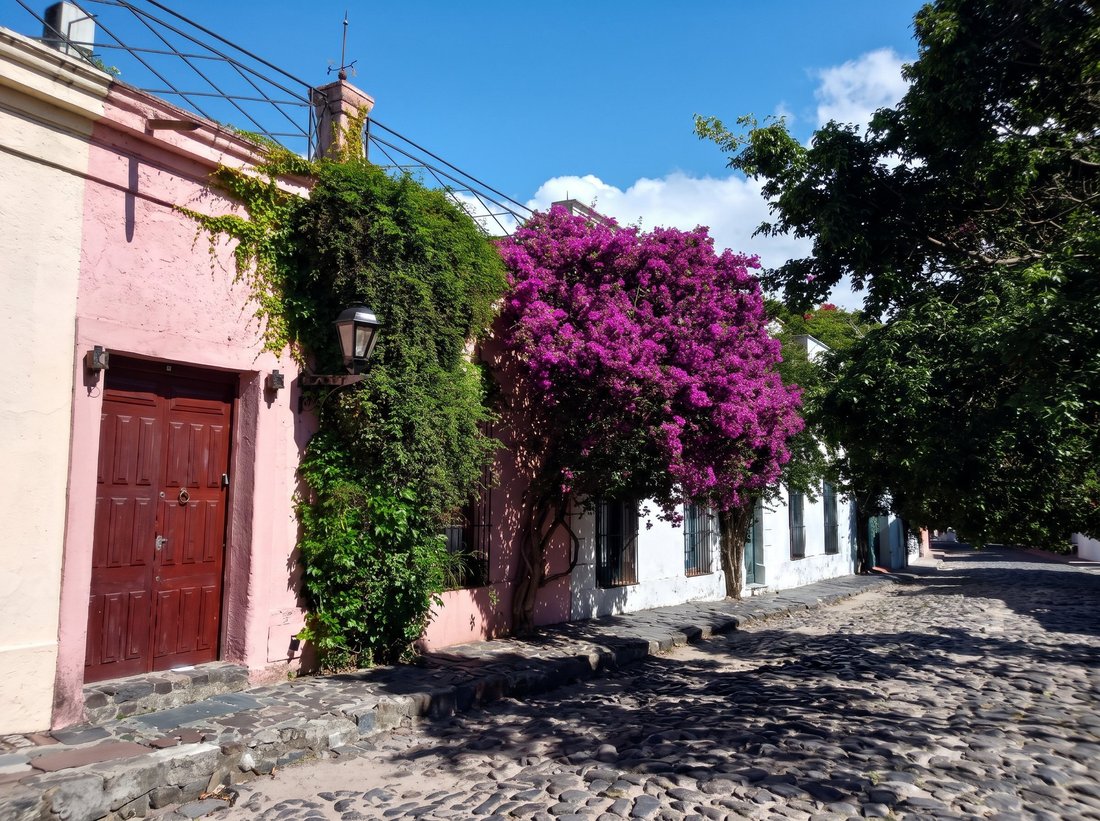 Casa en Colonia Del Sacramento, Departamento de Colonia, Uruguay 3 - 19187410