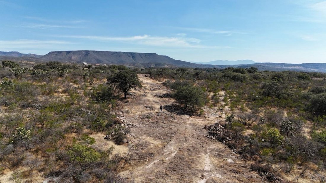 Land in León de los Aldama, Guanajuato, Mexiko 1 - 19187671