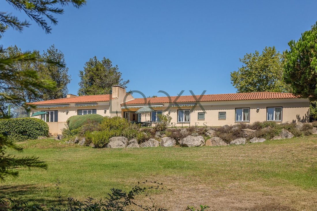 Finca à Sintra, Lisbonne, Portugal 2 - 19186405