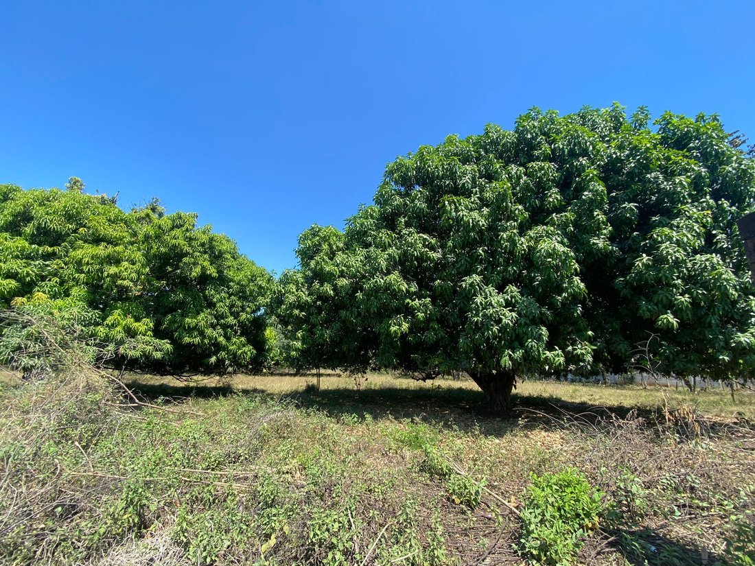 Land in Tivives, Provinz Puntarenas, Costa Rica 3 - 19188576