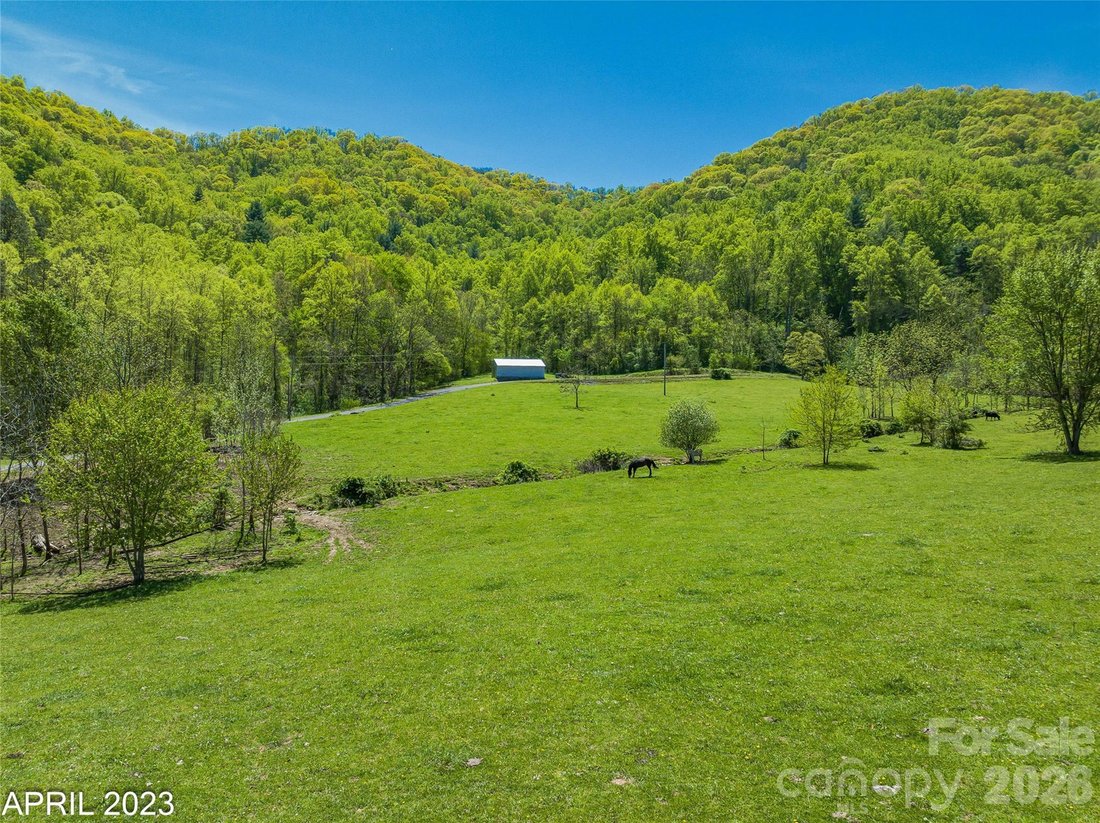 Terreno en Weaverville, Carolina del Norte, Estados Unidos 4 - 19186774
